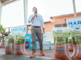 Si Carlos Serrano se postula a la Alcaldía de Samborondón, sería prefecto solo por pocas semanas | Política | Noticias