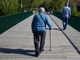 La Seguridad Social modera el impacto del gasto en pensiones al 14% del PIB hasta 2050 tras la alarma por su elevado coste | Economía