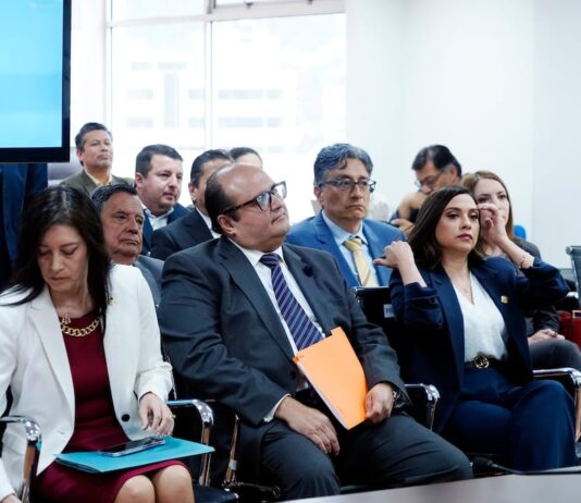 Presidente de la Judicatura y su suplente serán designados este viernes en sesión extraordinaria del Consejo de Participación Ciudadana | Política | Noticias