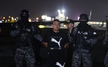 Presidente de la Corte Nacional concede la extradición a Estados Unidos de ‘alias Topo’; el cabecilla de Los Choneros puede apelar la decisión | Política | Noticias