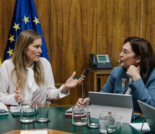 12 meses de un cero eléctrico con mil excusas