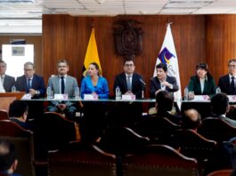 Jhoel Escudero, juez constitucional: ‘La Corte Constitucional trabaja con absoluta objetividad’ | Política | Noticias