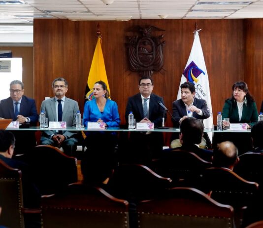 Jhoel Escudero, juez constitucional: ‘La Corte Constitucional trabaja con absoluta objetividad’ | Política | Noticias