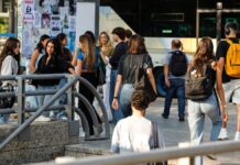 Malestar económico y falta de expectativas: por qué los jóvenes se alejan del sistema fiscal | Economía