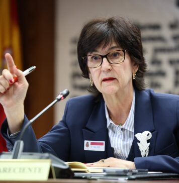 El cluedo del gran apagón y el expediente que le faltó por abrir a Cani Fernández