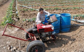 Las claves: la necesidad de adoptar medidas severas con la energía está cada vez más cerca | Opinión