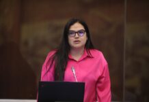 Priscila Schettini no podrá recuperar la curul ante la principalización definitiva de Annie Muñoz, según Procuraduría | Política | Noticias