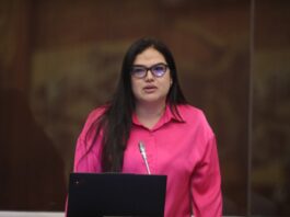 Priscila Schettini no podrá recuperar la curul ante la principalización definitiva de Annie Muñoz, según Procuraduría | Política | Noticias