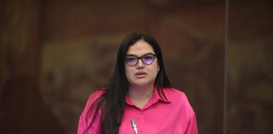 Priscila Schettini no podrá recuperar la curul ante la principalización definitiva de Annie Muñoz, según Procuraduría | Política | Noticias