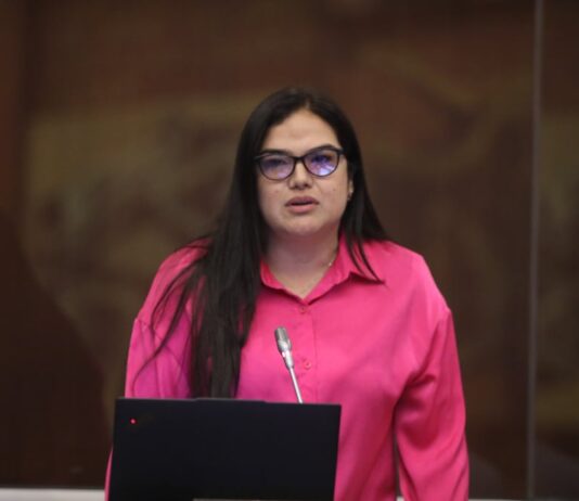 Priscila Schettini no podrá recuperar la curul ante la principalización definitiva de Annie Muñoz, según Procuraduría | Política | Noticias