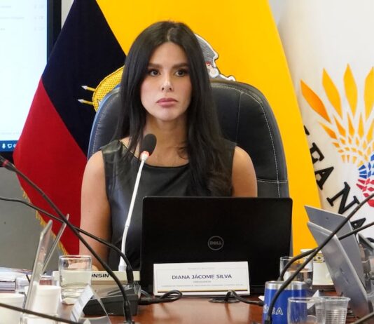 Diana Jácome cuestiona pago de $ 1.400 por residencia de Juan Andrés González, quien no asiste al pleno | Política | Noticias