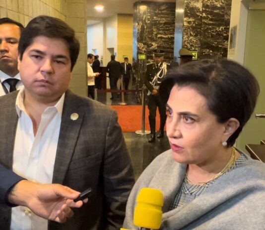 Canciller Sommerfeld: El llamado a consulta del embajador Arturo Félix Wong es para mostrar el malestar con Colombia | Política | Noticias