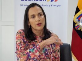 Corrupción en CNEL: ministra Inés Manzano explica cómo operaba la red de funcionarios que alteraban facturas de luz | Política | Noticias