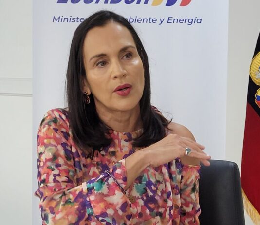 Corrupción en CNEL: ministra Inés Manzano explica cómo operaba la red de funcionarios que alteraban facturas de luz | Política | Noticias