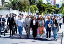 AME presenta ‘amicus curiae’ en defensa de la Ley de los GAD y pide a la Corte Constitucional que escuche sus argumentos | Política | Noticias