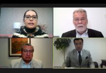 Iniciativa popular para regular el uso del cannabis en Ecuador no alcanza las firmas de respaldo y el pleno del CNE concede 90 días para que el proponente las complete | Política | Noticias