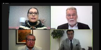 Iniciativa popular para regular el uso del cannabis en Ecuador no alcanza las firmas de respaldo y el pleno del CNE concede 90 días para que el proponente las complete | Política | Noticias