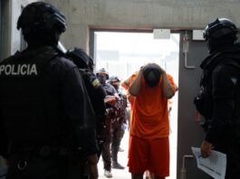 Esto dice la ley que fortalece el sistema penitenciario sobre el cuerpo de vigilancia y la incorporación de militares y policías | Política | Noticias