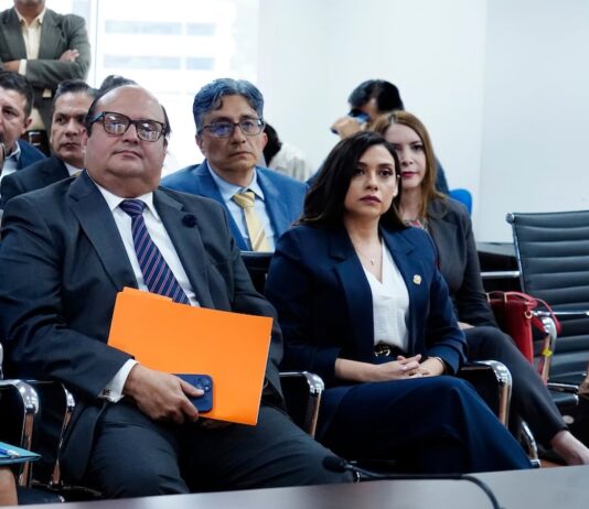 Asamblea Nacional posesionará a Mercedes Caicedo y a Ramón Echaiz como vocales principal y suplente de la Judicatura | Política | Noticias