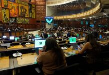 Asamblea aprueba proyecto de ley que incorpora la psicoeducación en la malla curricular en todas las unidades educativas | Política | Noticias