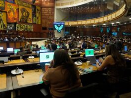 Asamblea aprueba proyecto de ley que incorpora la psicoeducación en la malla curricular en todas las unidades educativas | Política | Noticias