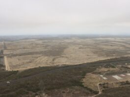 Gobierno planea levantar proyectos de energía solar y de vivienda de interés social en terrenos de la fallida Refinería del Pacífico | Política | Noticias