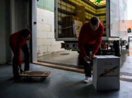Una vida entre cajas: la crisis de la vivienda obliga a los hijos a mudarse más veces que sus padres | Vivienda | Economía