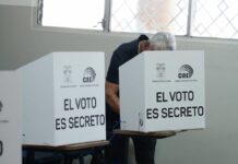 En las elecciones de noviembre de 2026 se elegirá a 5.742 autoridades seccionales | Política | Noticias