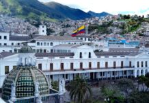 En 2025, Gobierno de Daniel Noboa dio nacionalidad ecuatoriana a cinco personalidades | Política | Noticias