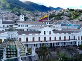 En 2025, Gobierno de Daniel Noboa dio nacionalidad ecuatoriana a cinco personalidades | Política | Noticias