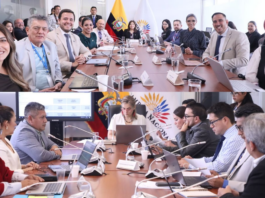 Disputa en la Asamblea por fiscalizar los casos sobre bombardeo en Sucumbíos y asalto a TC Televisión termina en manos del CAL | Política | Noticias