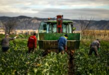 La hambruna que viene | Economía