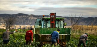 La hambruna que viene | Economía