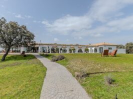 Las tres casas de la semana: finca extremeña con olivos y viñedos por 2,6 millones de euros | Negocios