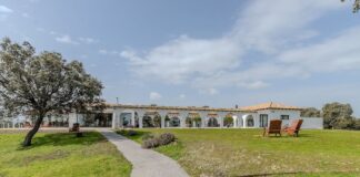 Las tres casas de la semana: finca extremeña con olivos y viñedos por 2,6 millones de euros | Negocios
