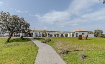 Las tres casas de la semana: finca extremeña con olivos y viñedos por 2,6 millones de euros | Negocios