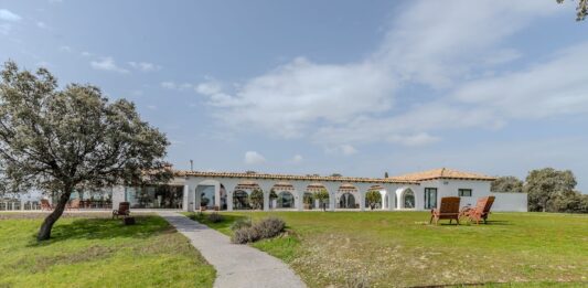 Las tres casas de la semana: finca extremeña con olivos y viñedos por 2,6 millones de euros | Negocios