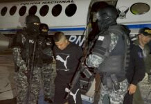 Alias ‘Topo’, el tercer ecuatoriano que llegaría extraditado a Estados Unidos luego de un cambio constitucional aprobado con más del 64 % de apoyo | Política | Noticias