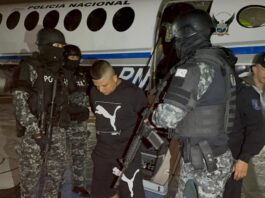 Alias ‘Topo’, el tercer ecuatoriano que llegaría extraditado a Estados Unidos luego de un cambio constitucional aprobado con más del 64 % de apoyo | Política | Noticias