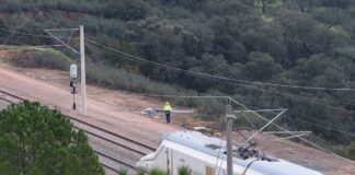 Renfe activó en marzo las alarmas en la línea Madrid-Zafra por “pequeñas marcas en las ruedas de algunos trenes” Alvia | Economía