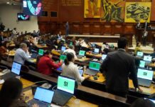 Cannabis en Ecuador: iniciativa popular avanza con informe favorable sobre requisitos de admisibilidad | Política | Noticias