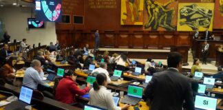 Cannabis en Ecuador: iniciativa popular avanza con informe favorable sobre requisitos de admisibilidad | Política | Noticias