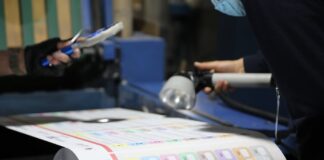 Elecciones del 29 de noviembre: ecuatorianos decidirán por un Consejo de Participación Ciudadana que se quedaría con menos poder | Política | Noticias