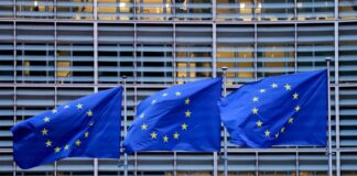 Los supervisores nacionales chocan con la Comisión Europea sobre la vigilancia de las empresas cripto | Criptoactivos