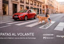 theGarage, nueva agencia de coches.net y Medivet
