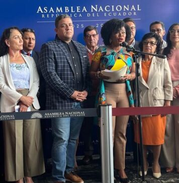 Paola Cabezas no acepta disculpas de Niels Olsen y anuncia queja en el CAL por una presunta falta grave | Política | Noticias