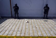 ‘Golpes’ del Bloque de Seguridad han mermado las economías ilegales de los grupos delictivos en Ecuador | Política | Noticias