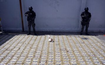 ‘Golpes’ del Bloque de Seguridad han mermado las economías ilegales de los grupos delictivos en Ecuador | Política | Noticias