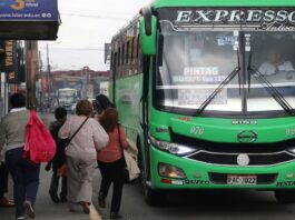 Gobierno extiende compensaciones a transportistas públicos, intra e interprovinciales durante mayo | Política | Noticias