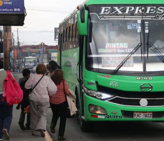 Gobierno extiende compensaciones a transportistas públicos, intra e interprovinciales durante mayo | Política | Noticias